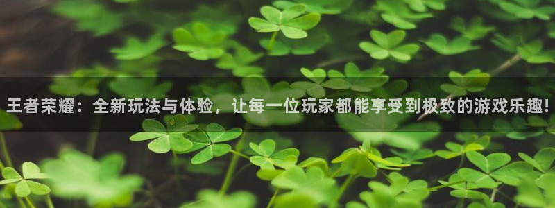 鼎点娱乐上级：王者荣耀：全新玩法与体验，让每一位玩家都能享受