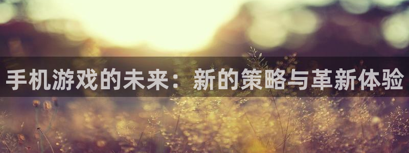 鼎点娱乐app最新版本更新内容在哪